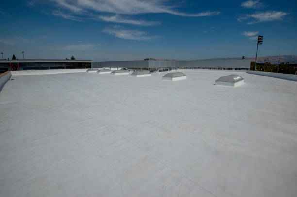 Best Green or Eco-Friendly Roofing Solutions  in Jasper, GA